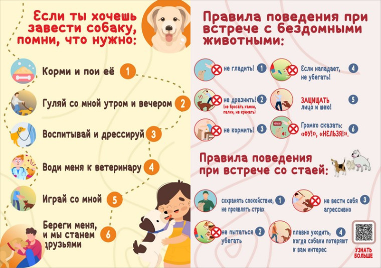 «Единый урок добра» об ответственном отношении к животным.